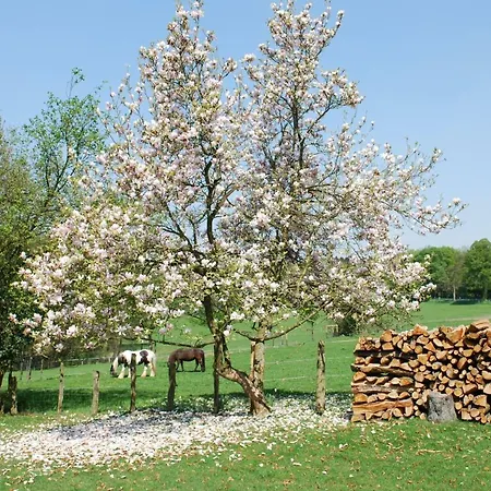 Appartement Stoeltings