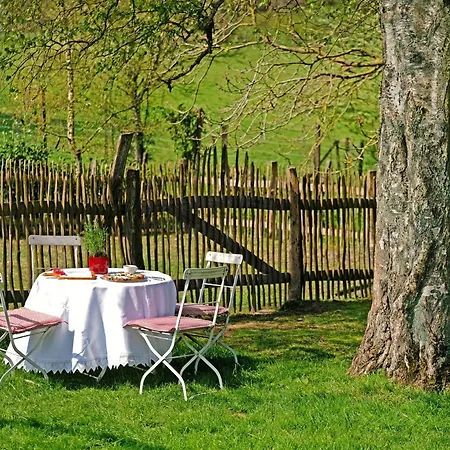 Daire Stoeltings Wiehl