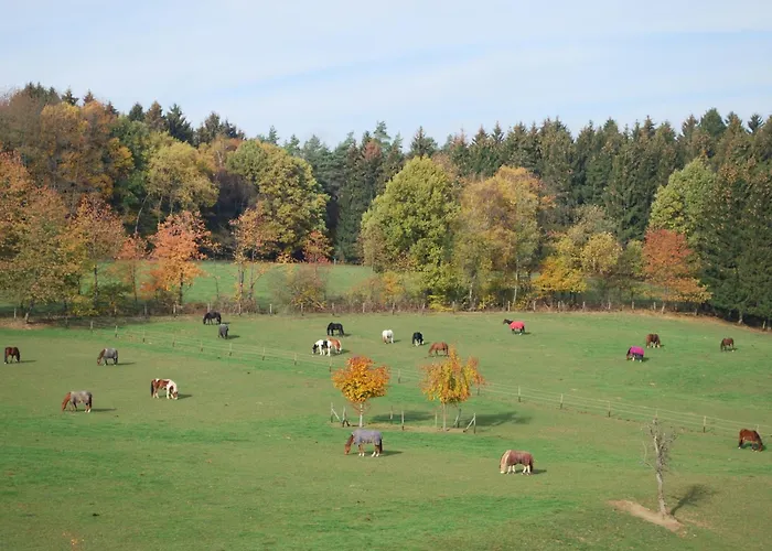 Stoeltings Appartement Wiehl